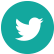 twitt_logo_footer